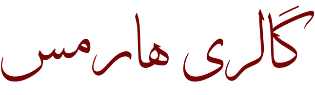 تکست هوم